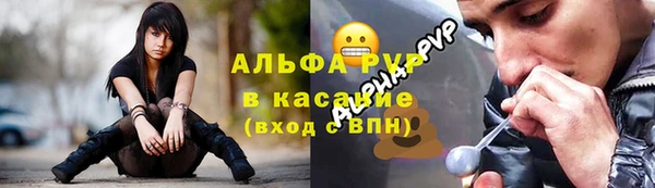 PSILOCYBIN Богородск