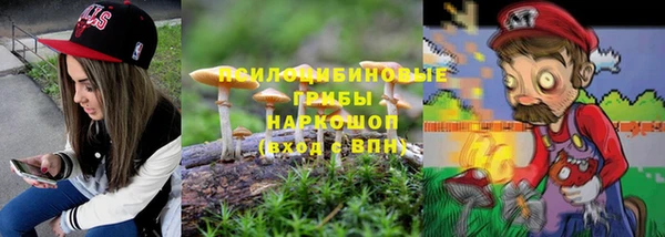 ГАЛЛЮЦИНОГЕННЫЕ ГРИБЫ Слюдянка