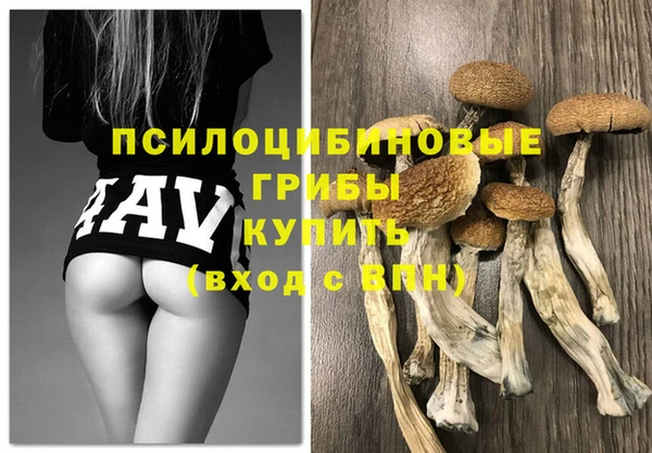MDMA Premium VHQ Бронницы